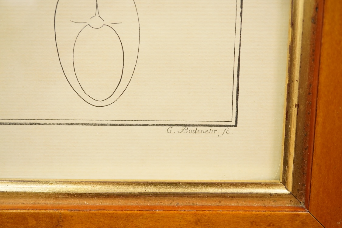 After Andreas Ludwig Kruger (1743-1822), zoological study of a pike (Esox lucius), colour print, 22 x 39cm